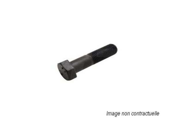 BOLT 01010-41025