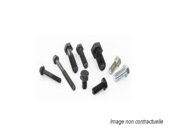 BOLT ZA50-19710